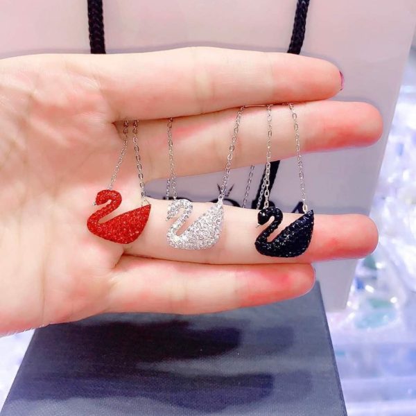 bộ thiên nga tại atuoi